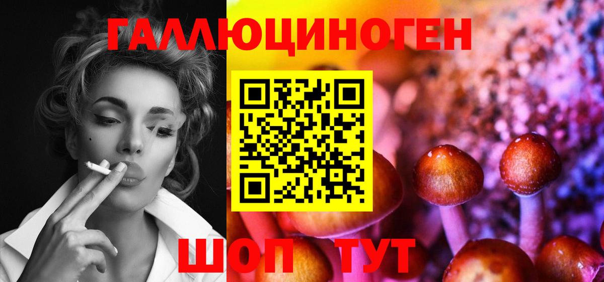 Псилоцибиновые грибы мухоморы  как найти закладки  Вышний Волочёк  Вход с VPN  Галлюциногенные грибы GOLDEN TEACHER 