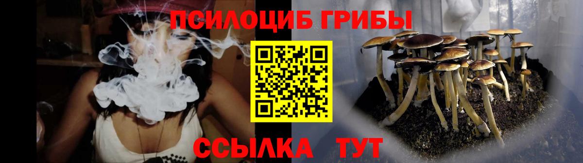 Псилоцибиновые грибы Cubensis Вышний Волочёк